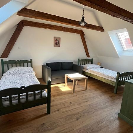 Apartmany Statek Bezdedice Hostomice Eksteriør billede