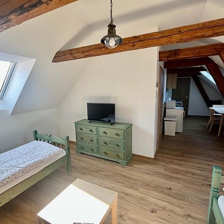 Apartmany Statek Bezdedice Hostomice Eksteriør billede